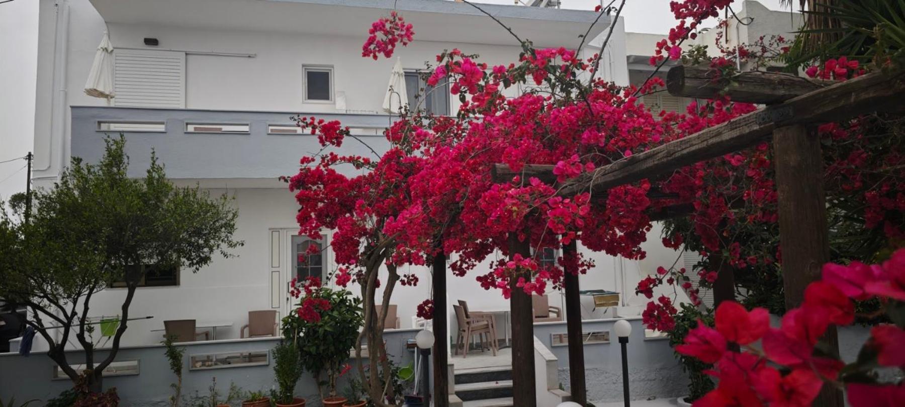 העיירה קוס Agrellis Apartments מראה חיצוני תמונה